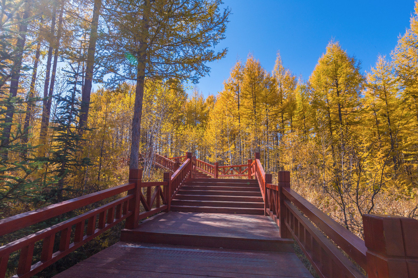 哈尔滨满洲里自驾路线,哈尔滨满洲里自驾视频