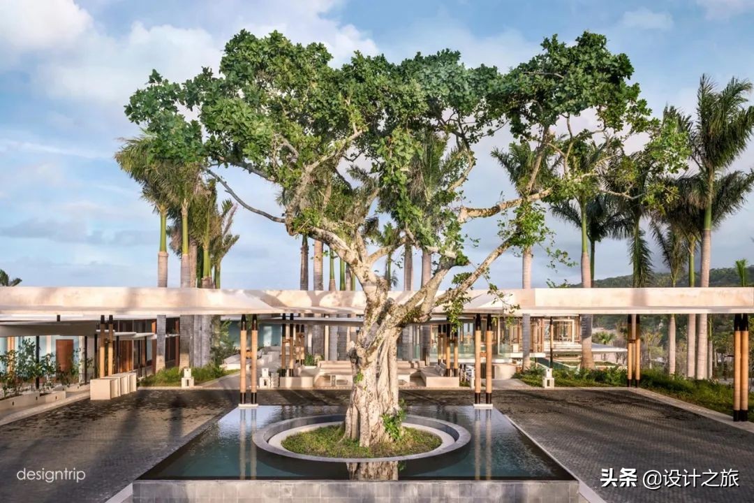 全球38家安缦酒店在哪里,全球35家安缦住宿本身是一种修行