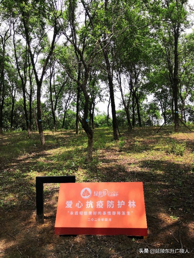常州春江镇未来十年发展,常州春江镇居住区规划
