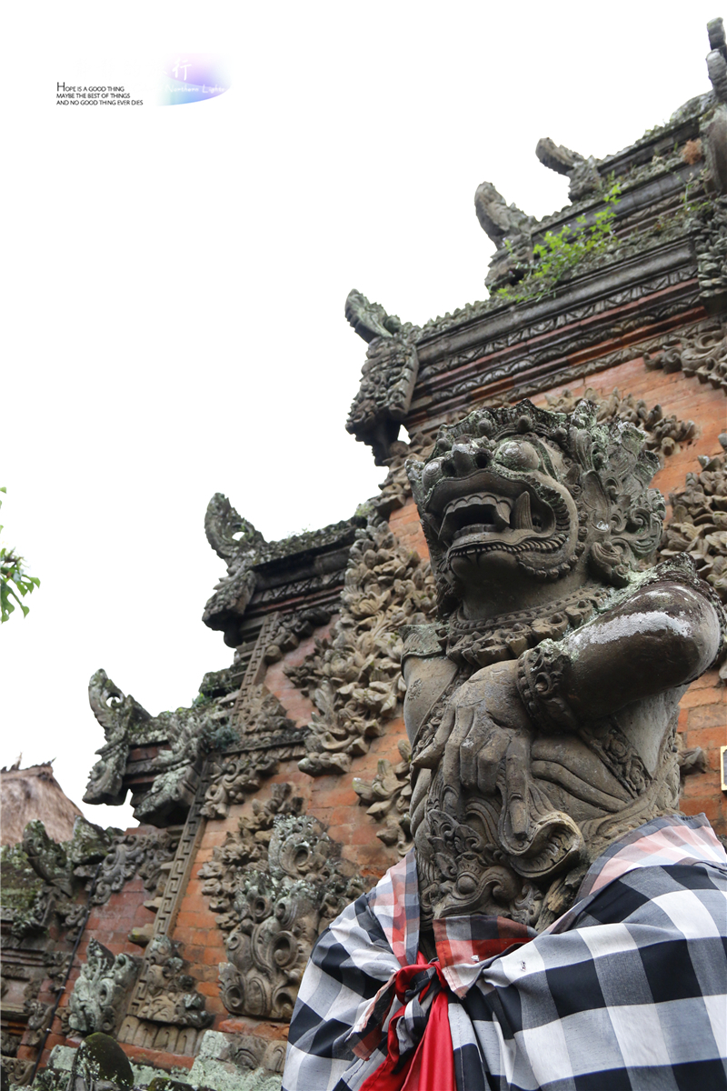 印尼猫屎咖啡比普通咖啡贵几倍,雅丁山印尼猫屎风味咖啡价格