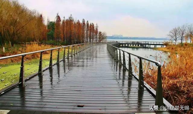 无锡秋游胜地最全推荐,无锡秋游自驾绝佳去处