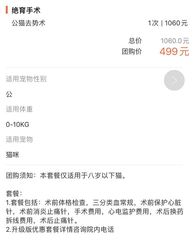 英短蓝白母猫最佳绝育年龄,英短蓝猫小奶猫的成长历程