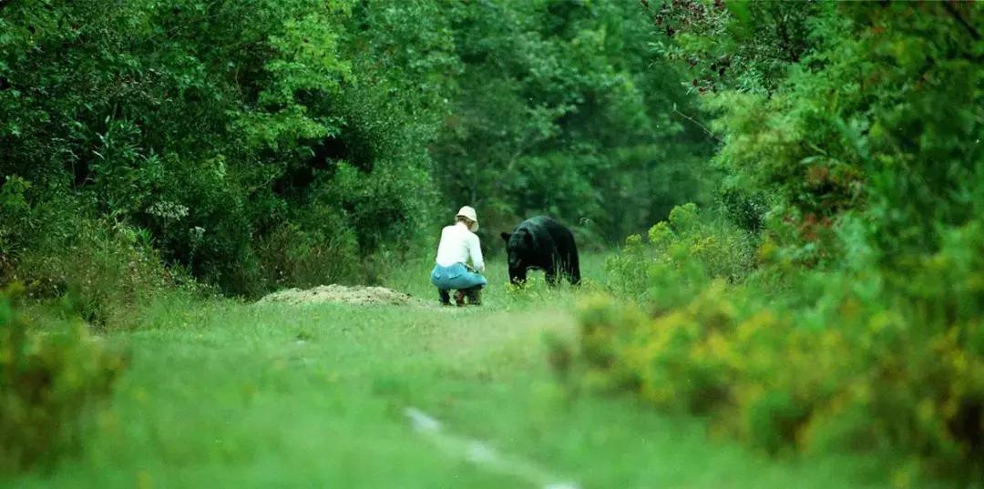 与熊同居28年后神秘死亡，这个女人传奇的一生，隐藏着惊人结局……