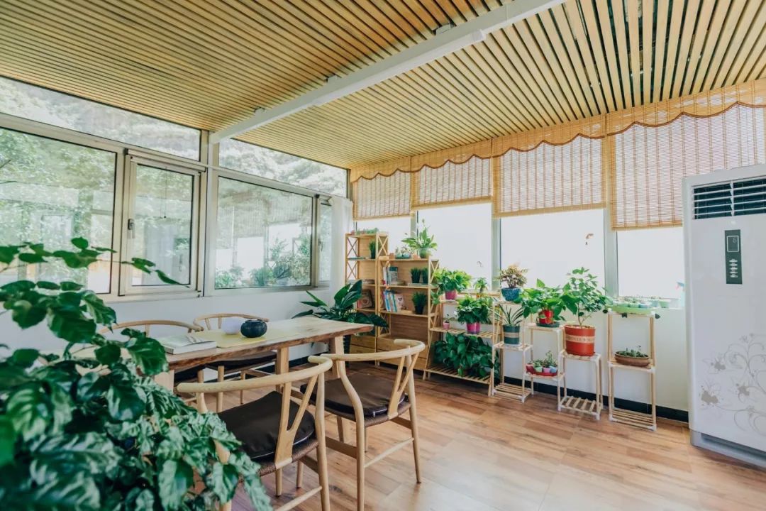 野三坡山水闲居民宿,野三坡民宿网红独院20人