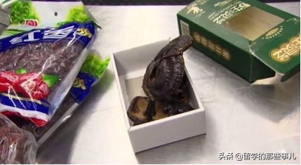 澳洲禁止入境物品最新规定,入境澳洲哪些东西能带哪些是禁带