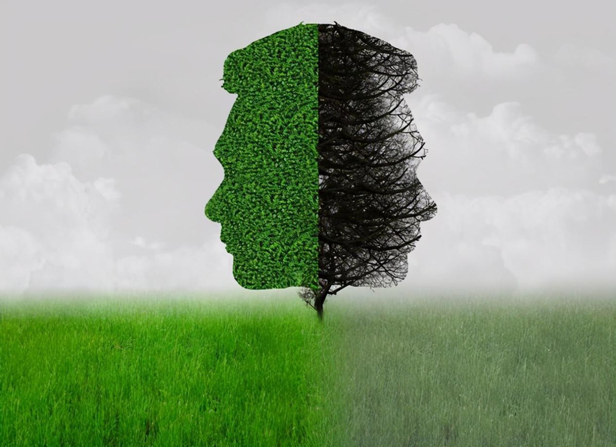 梦境跟做梦的人有什么关系,梦境与现实潜意识