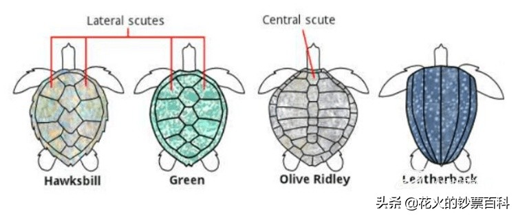 马来西亚最值钱的钞票,马来西亚老钞票1块