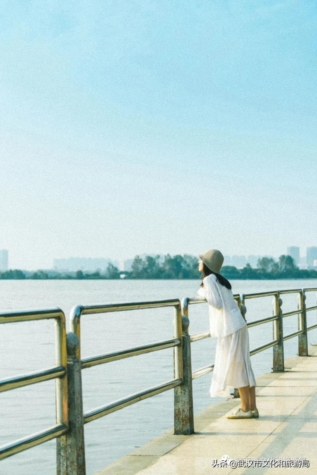 江夏面积多大,关于最美江夏的图片