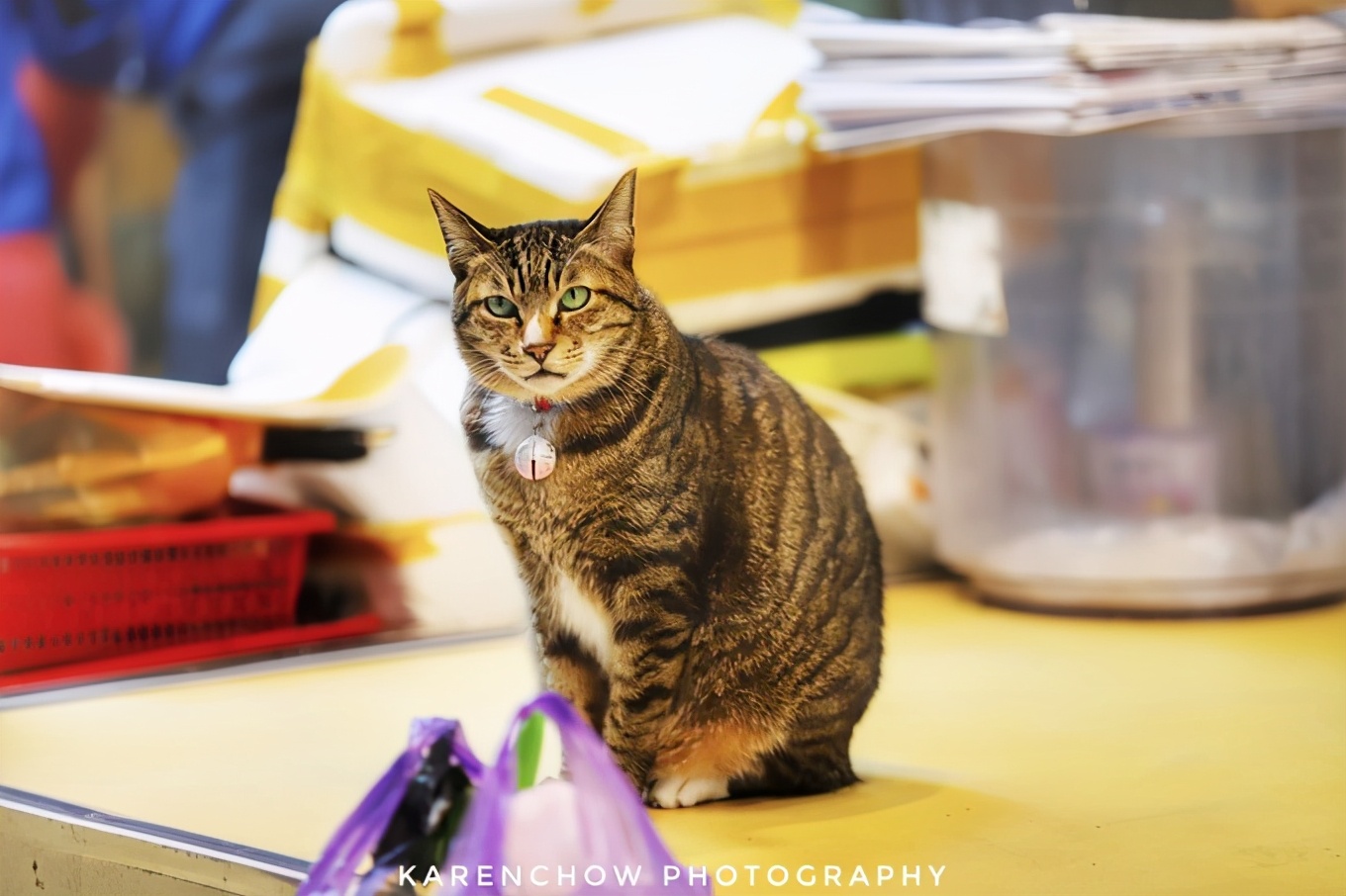 大邱安东小吃,韩国安东美食