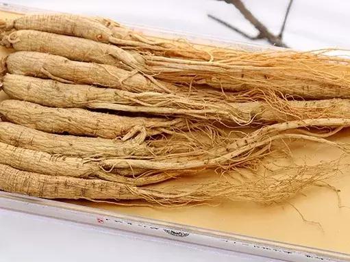 失眠注意力不集中湿气重,失眠脾胃不舒服感觉喘不过来气