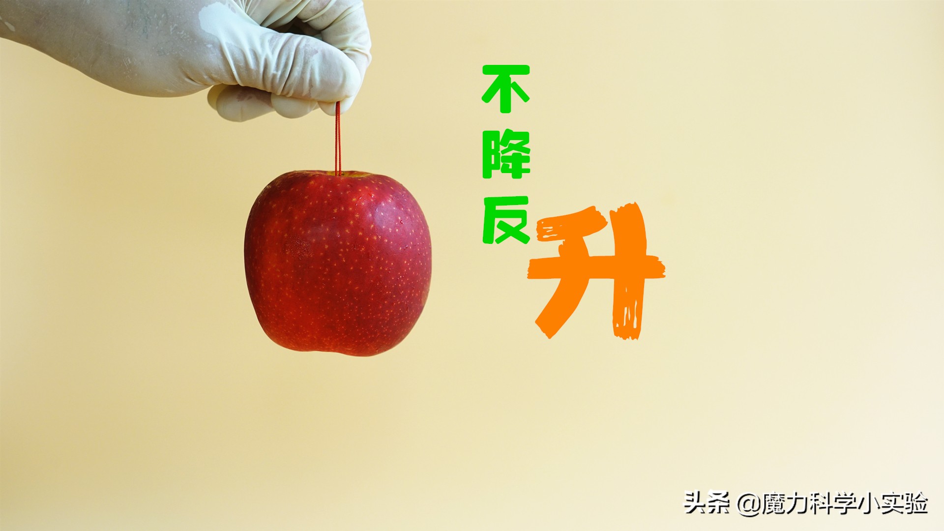 魔力科学小实验合集,魔力科学小实验虹吸