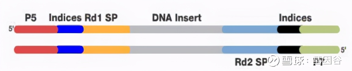 全场硬菜！分子诊断技术全解析