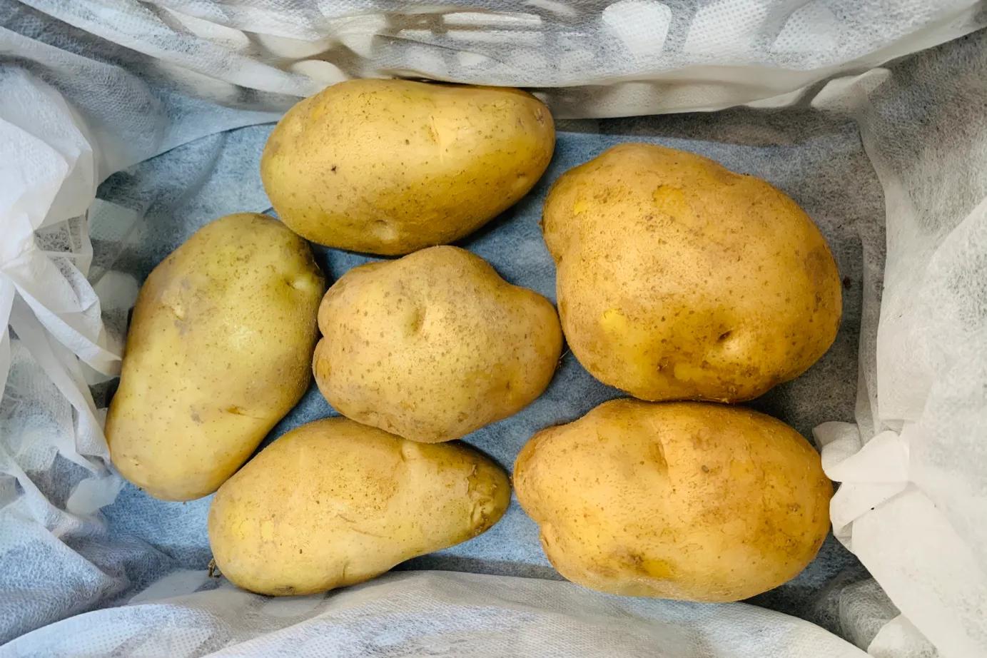 夏天土豆怎么保存不发芽不变绿,土豆削皮后真空包装可以保存多久