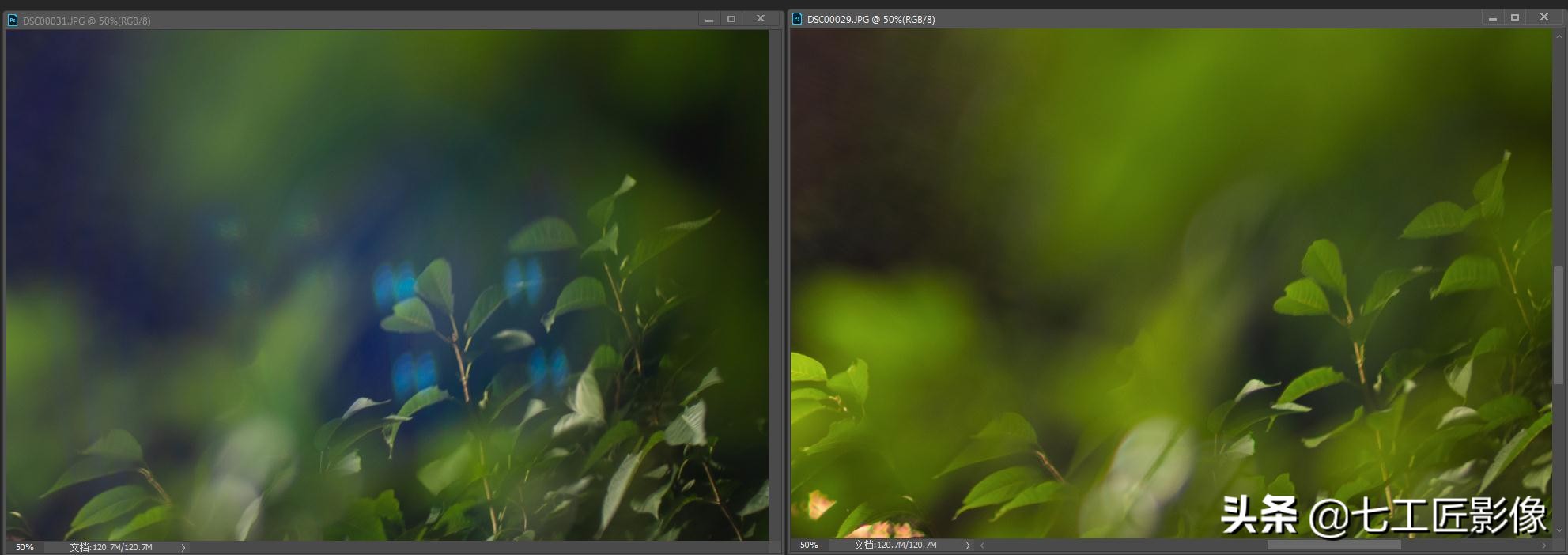 永诺50mmf1.8和七工匠35mmf1.4,七工匠人文镜头