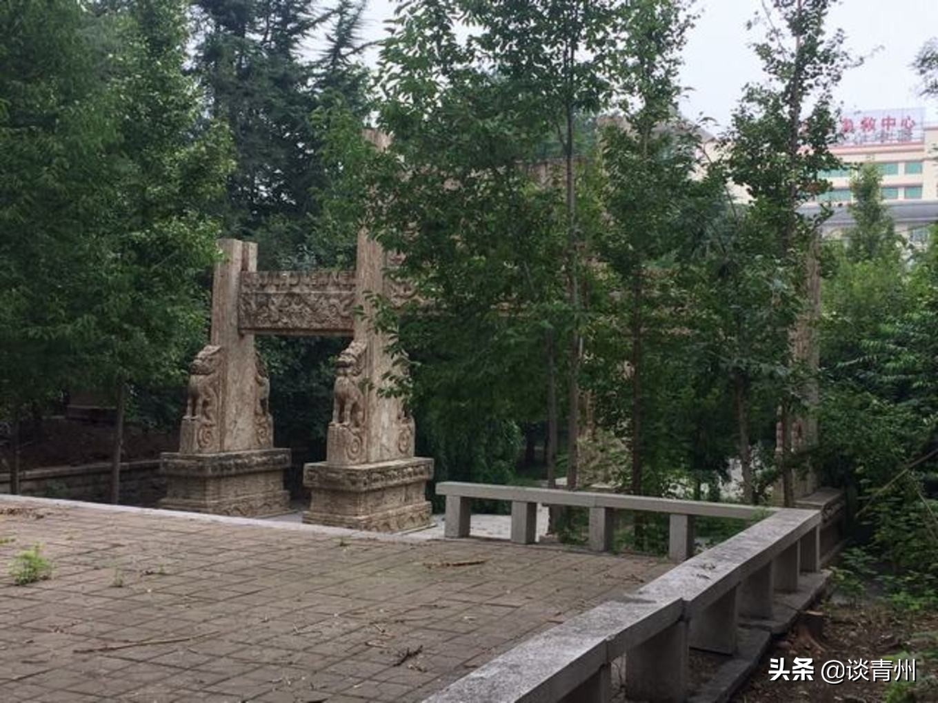 青州古城一日游视频,青州古城夜晚一日游