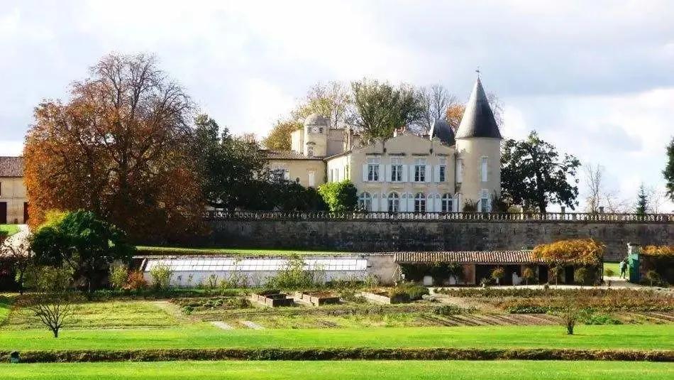 拉菲分大拉菲小拉菲吗,大拉菲小拉菲的区别