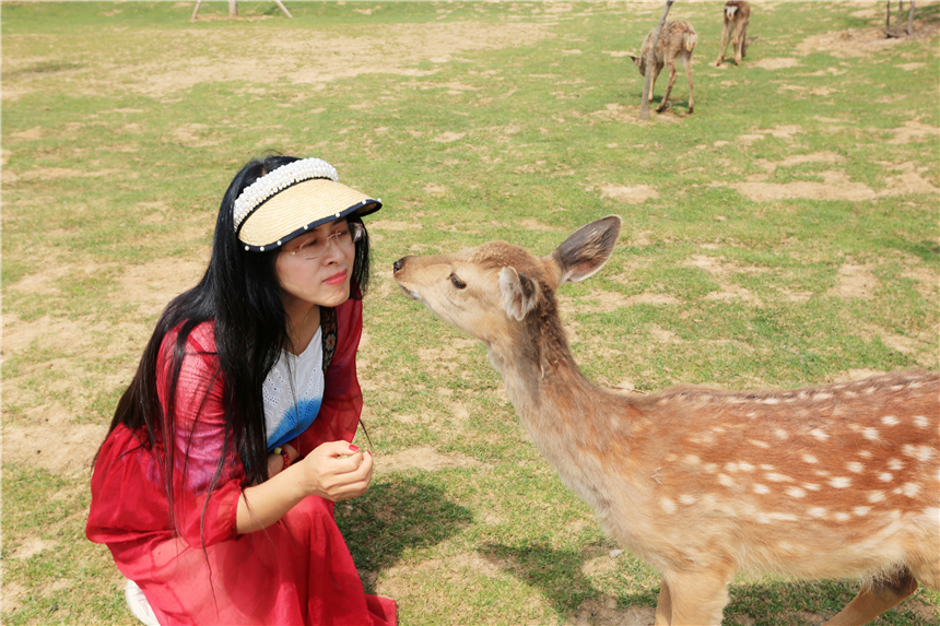 初夏河南,找寻童心,邂逅伏羲山的斜阳,一颗心萌化在云上牧场
