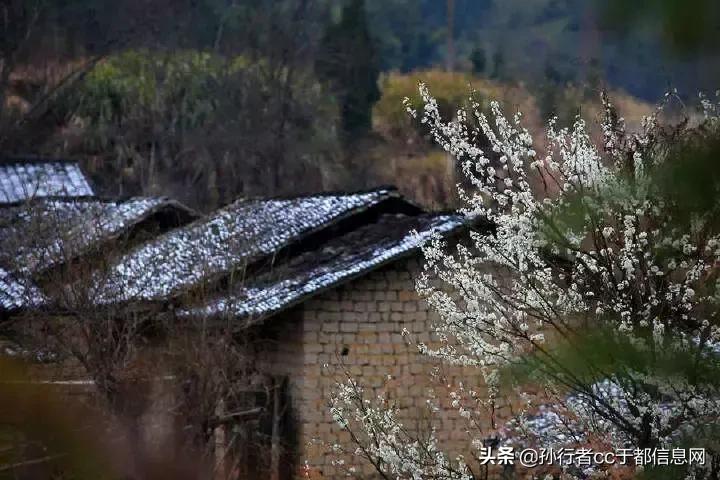 罗坳镇河坪村兴隆山的传说