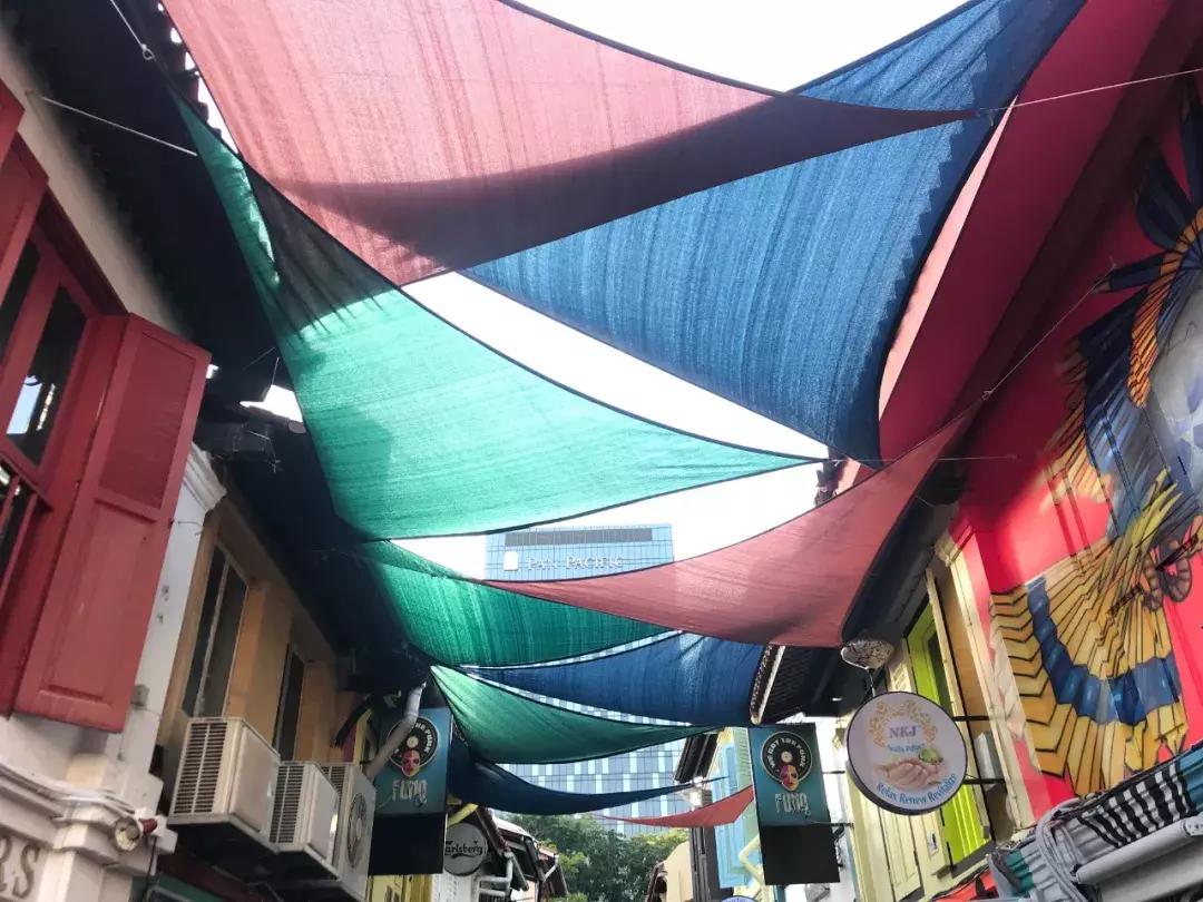 “南洋”见闻略:开怀有自新加坡