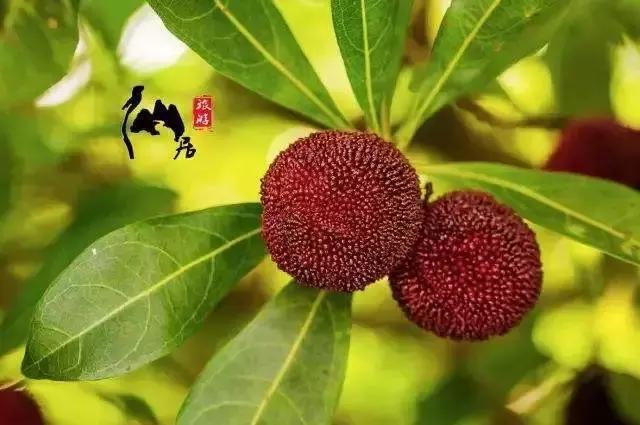 为什么去潮汕旅游很少去揭阳,潮阳旅游好推荐