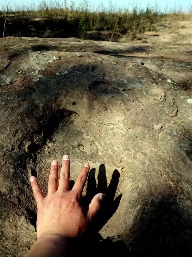 山冈岭有什么区别,峰峦岭岫的区别