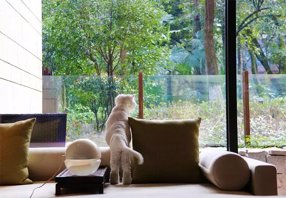 杭州浪漫约会攻略,杭州情侣冬季旅游攻略