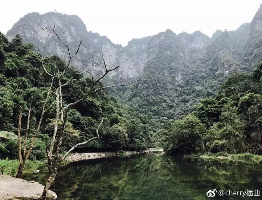 成都坐动车直达这片原始秘境!深幽峡谷、云海奇观、罕见古村…带你逃离夏天!