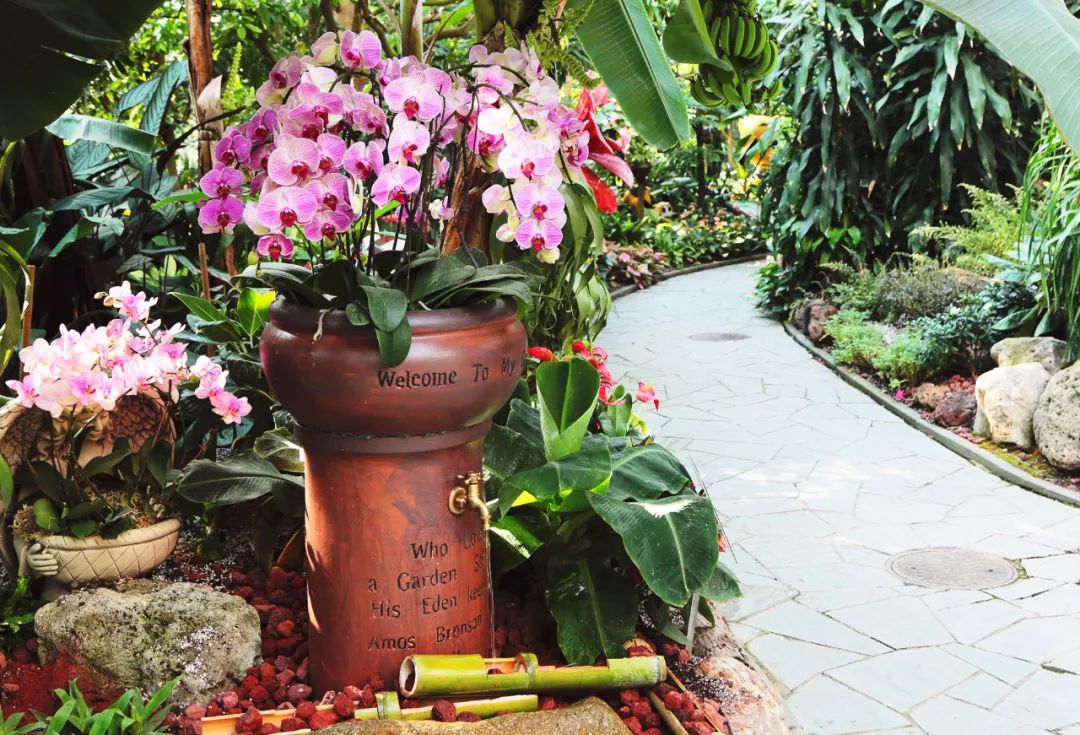 国庆展览活动,国庆活动展会