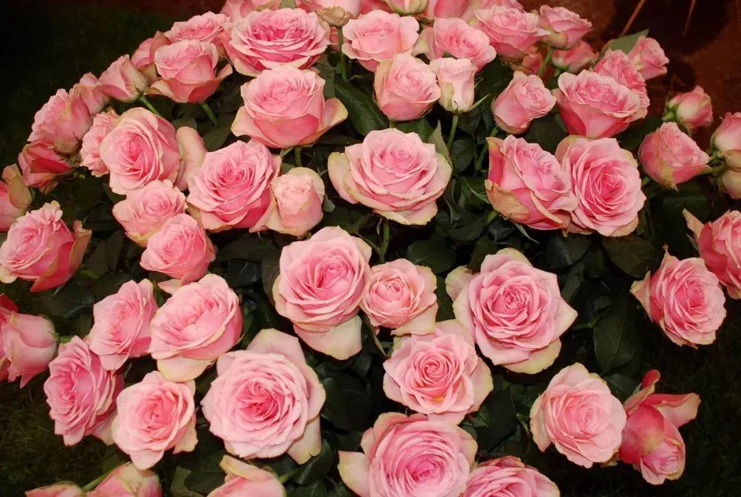 昆明官渡区格拉斯香水小镇,格拉斯香水小镇风景