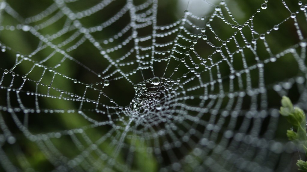 读书计划读后感,读书心得内容20字