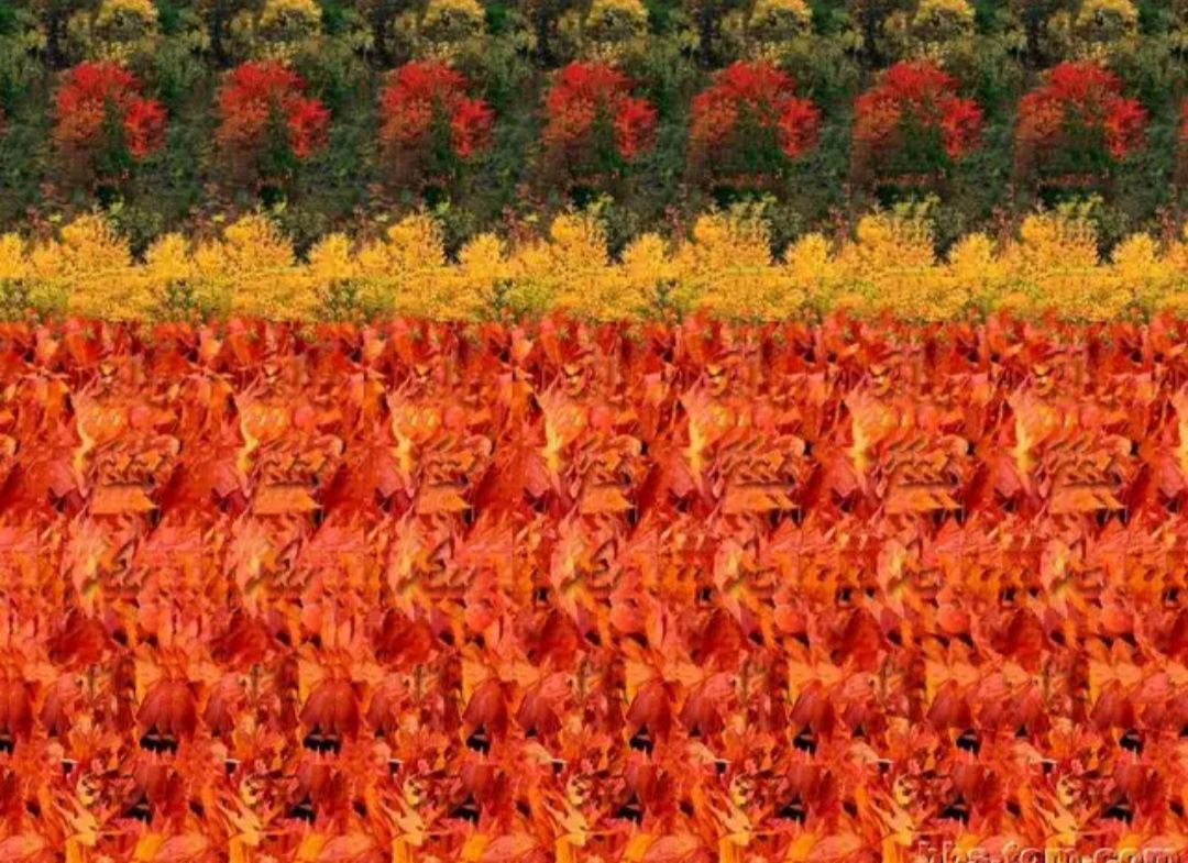 新一波超强创意图片,立体图高清图片大全