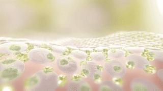 痘印祛痘药膏,痘印去除护肤品