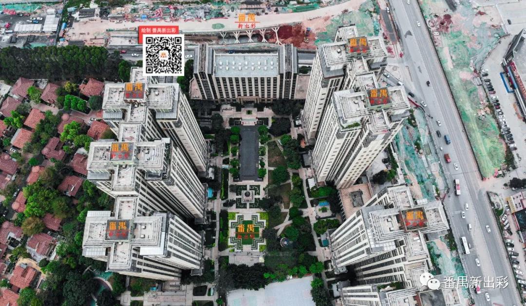 凭什么成为火爆全网的网红城市,番禺万博板块有什么盘