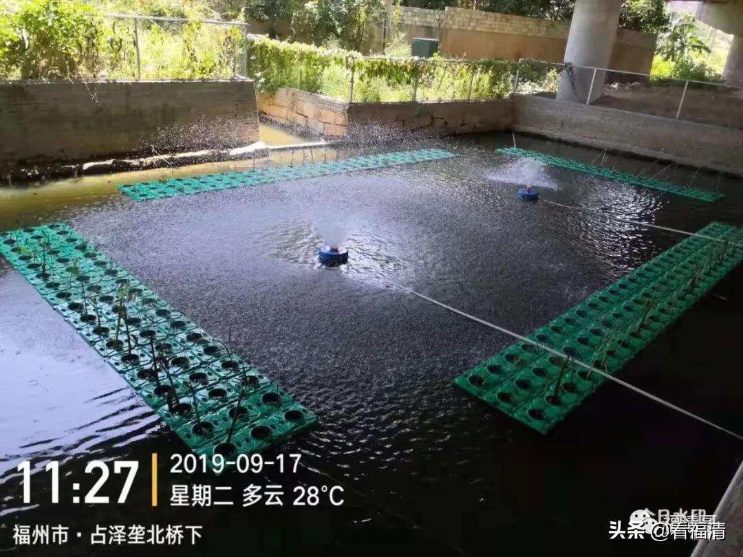 重磅消息福清又有大动作,福清77亿项目