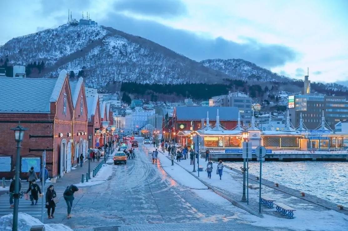 解读村上春树寻羊冒险记音频,村上春树寻羊冒险记