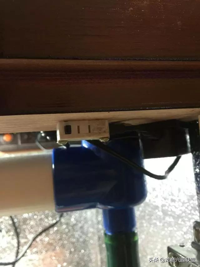 垃圾桶旁边的四方鱼缸,捡回去养了一缸金鱼,别说还挺不错