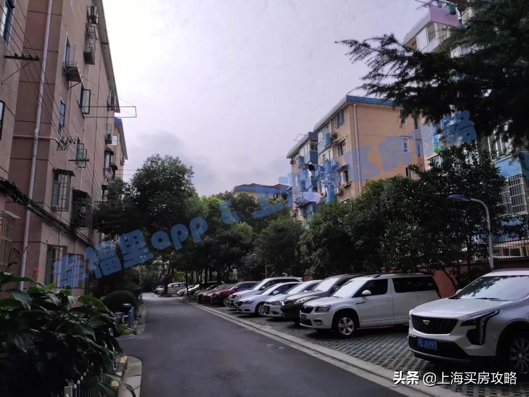 闵行区平南小学怎么样,中环双学区房多少钱