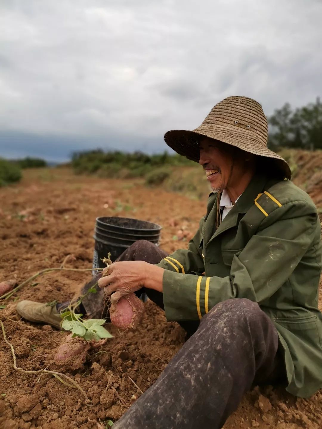 「十堰」城区最快30分钟送达！马云投资的村民直卖店开到郧阳啦