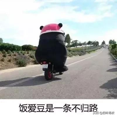 粉丝成为铁粉的条件是什么,怎样才能让你的粉丝成为有效粉