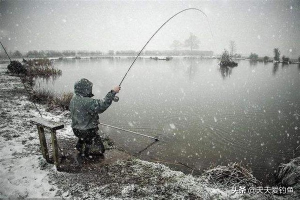 东风南风西风北风的风向怎么判断,钓鲢鳙风向南风好还是北风好