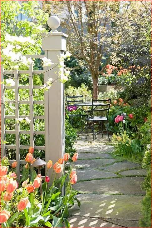 庭院设计用什么植物,庭院植物设计搭配详解