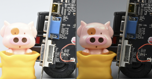 尼康Z50深度评测,尼康z50评测打鸟