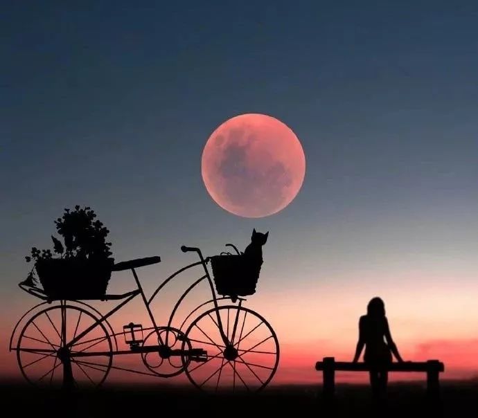 所谓知己全文,所谓蓝颜知己多半是互为备胎