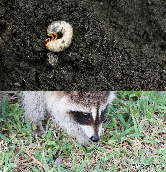 涓浗缃戞皯缇庡浗缃戞皯,涓浗缃戞皯缇庡浗