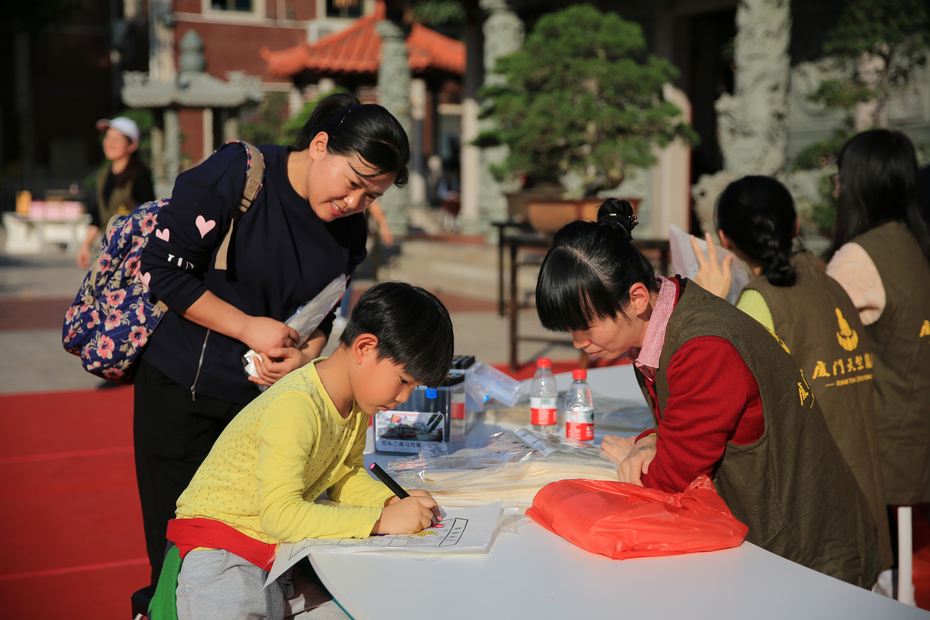 三角梅爆花盆景,三角梅巨桩盆景