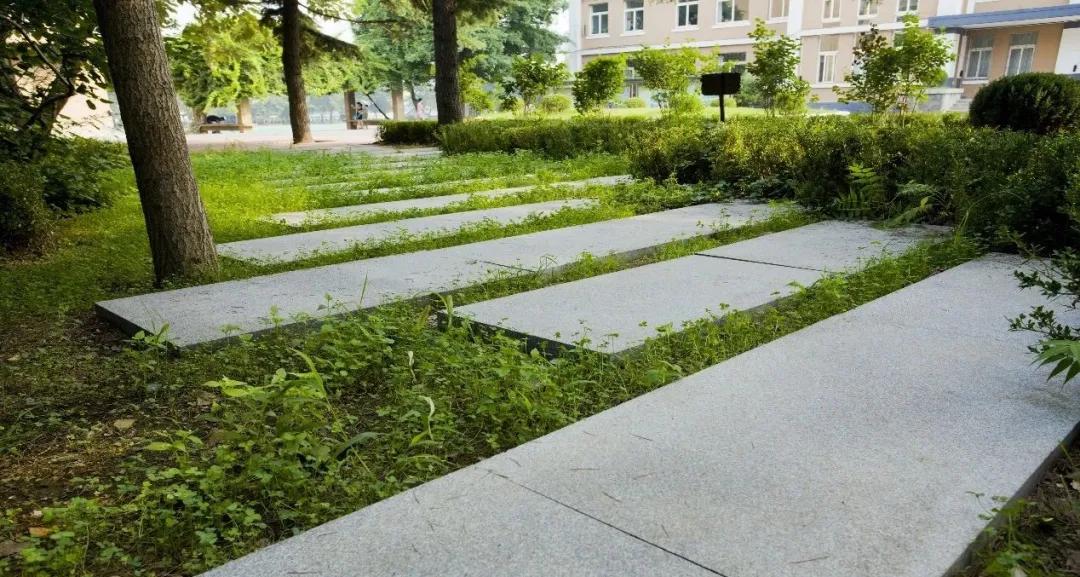 大连五中vs金州高级中学,大连五中高中