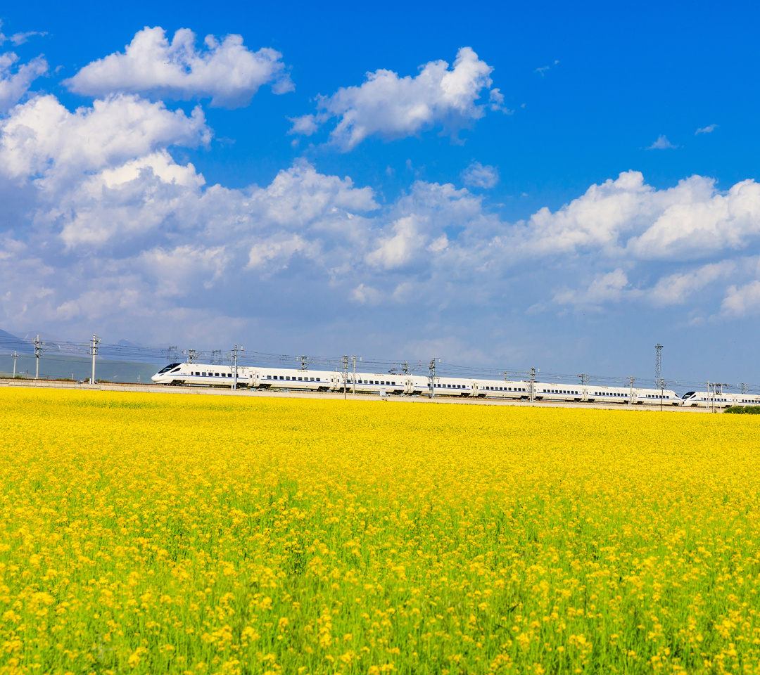 为什么是祁连山？|地球知识局