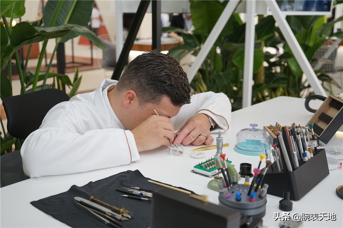 涓婃捣琛ㄥ睍,涓婃捣琛ㄥ睍2021