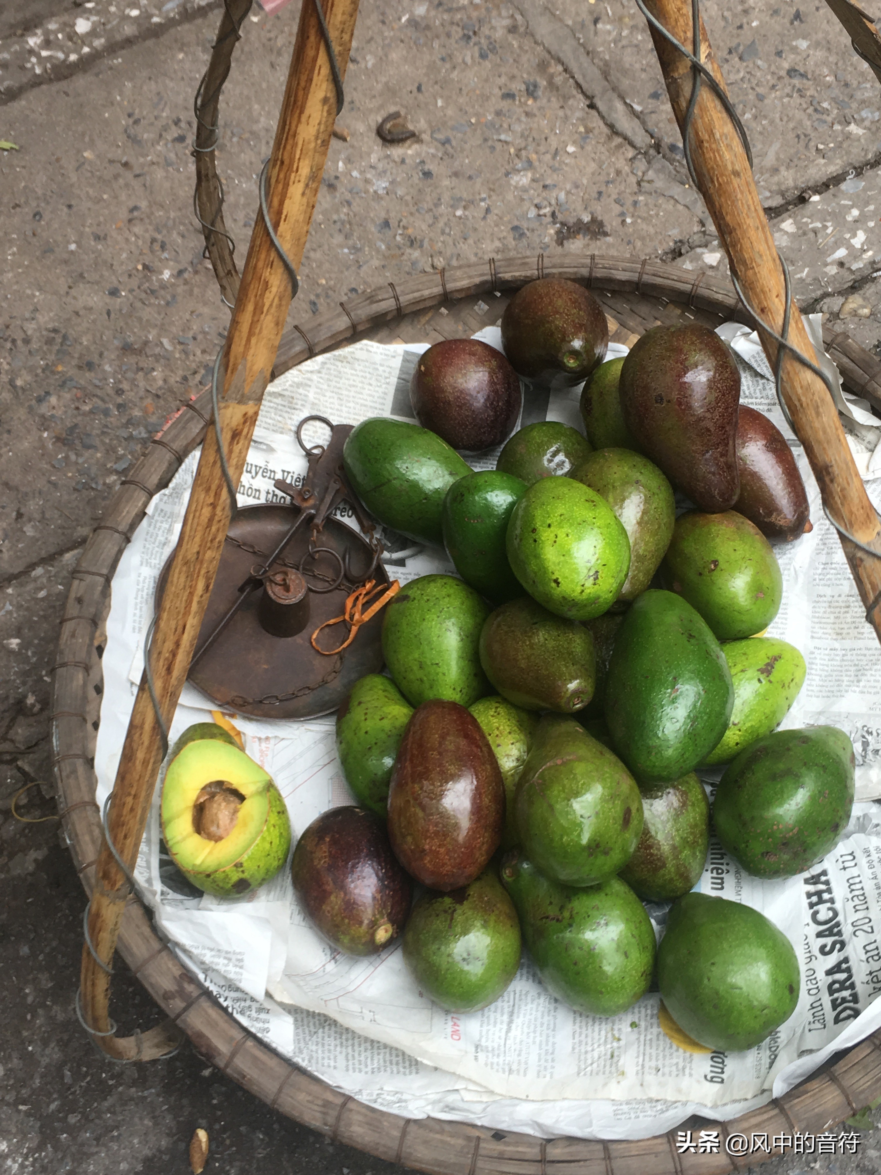 越南越北之旅,越南走进中国