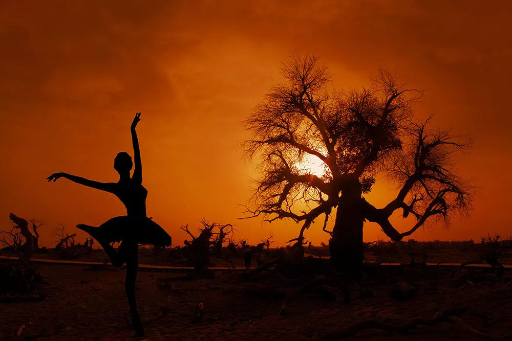 到额济纳旗怎么去胡杨林,五一去额济纳旗胡杨林好看不